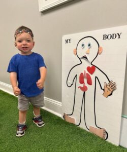 Child next to educational body diagram.