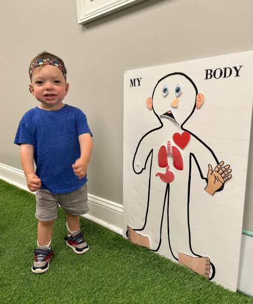 Child next to educational body diagram.